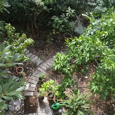 Appartement 11361b Makarska