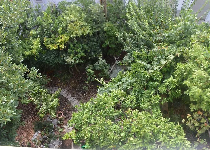 Appartement 11361b *